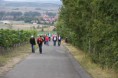 /album/weinwandertag/a004-jpg/